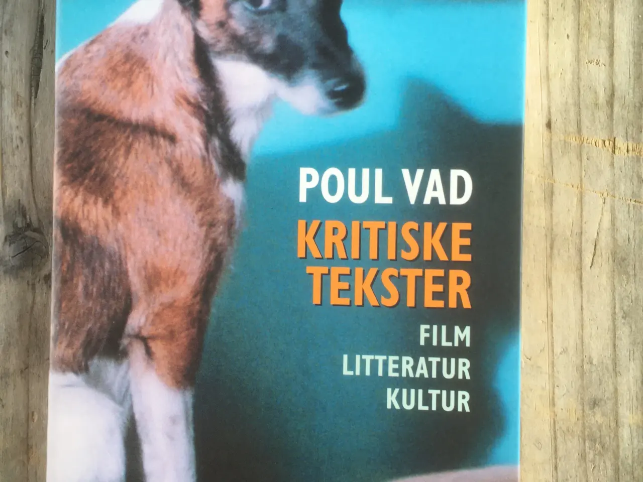 Billede 1 - Kritiske tekster, emne: film og litteraturhistorie
