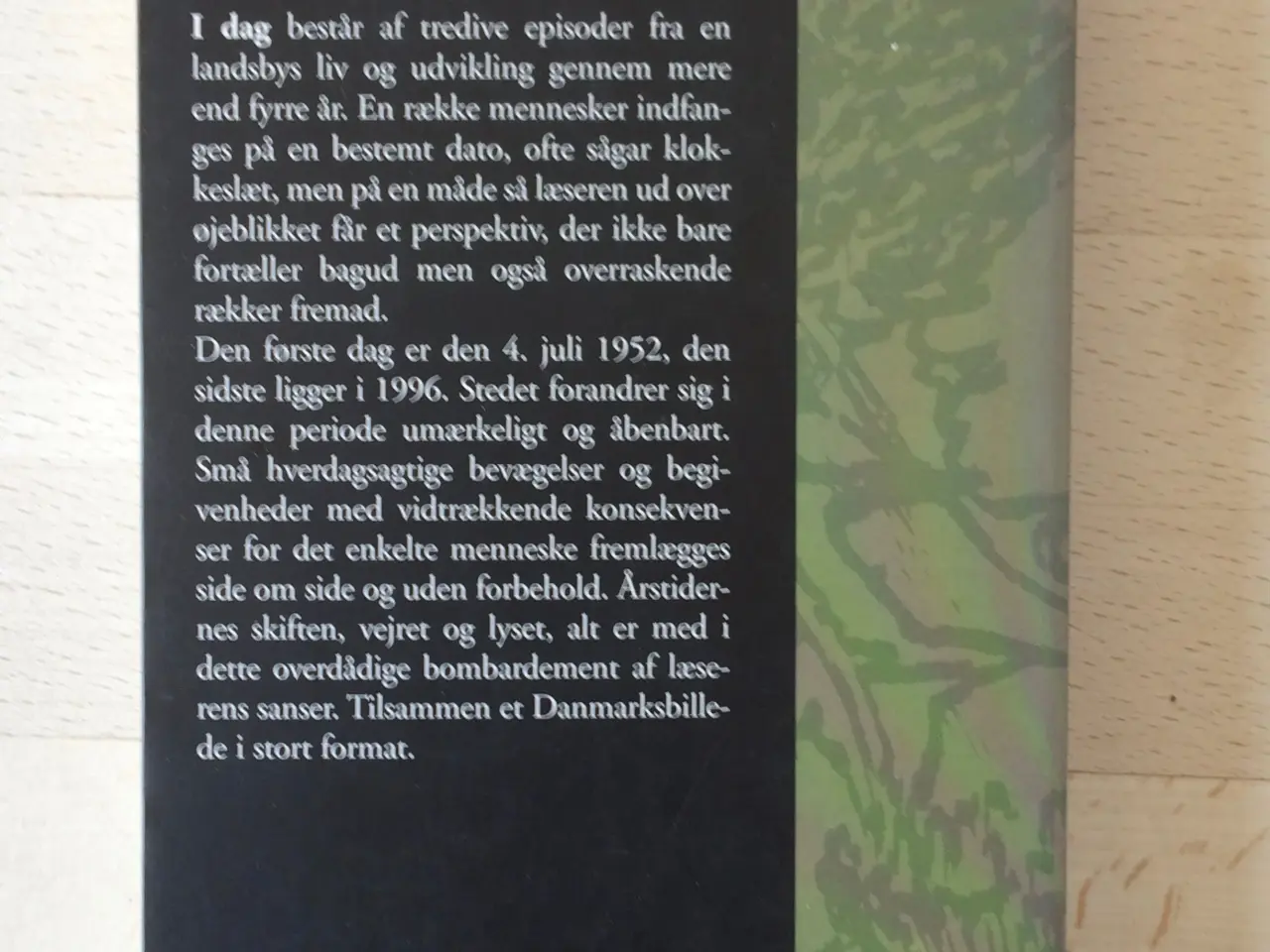 Billede 2 - I dag, Vibeke Grønfeldt