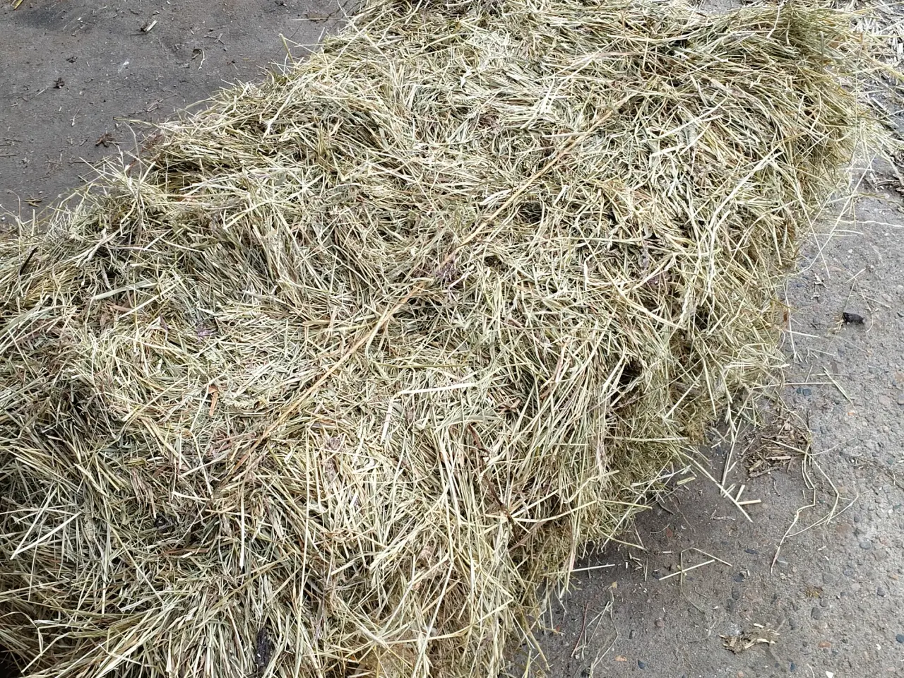Billede 1 - Hø i småballer