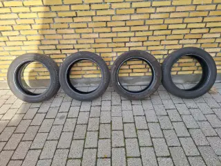 Sommerdæk årgang 2026