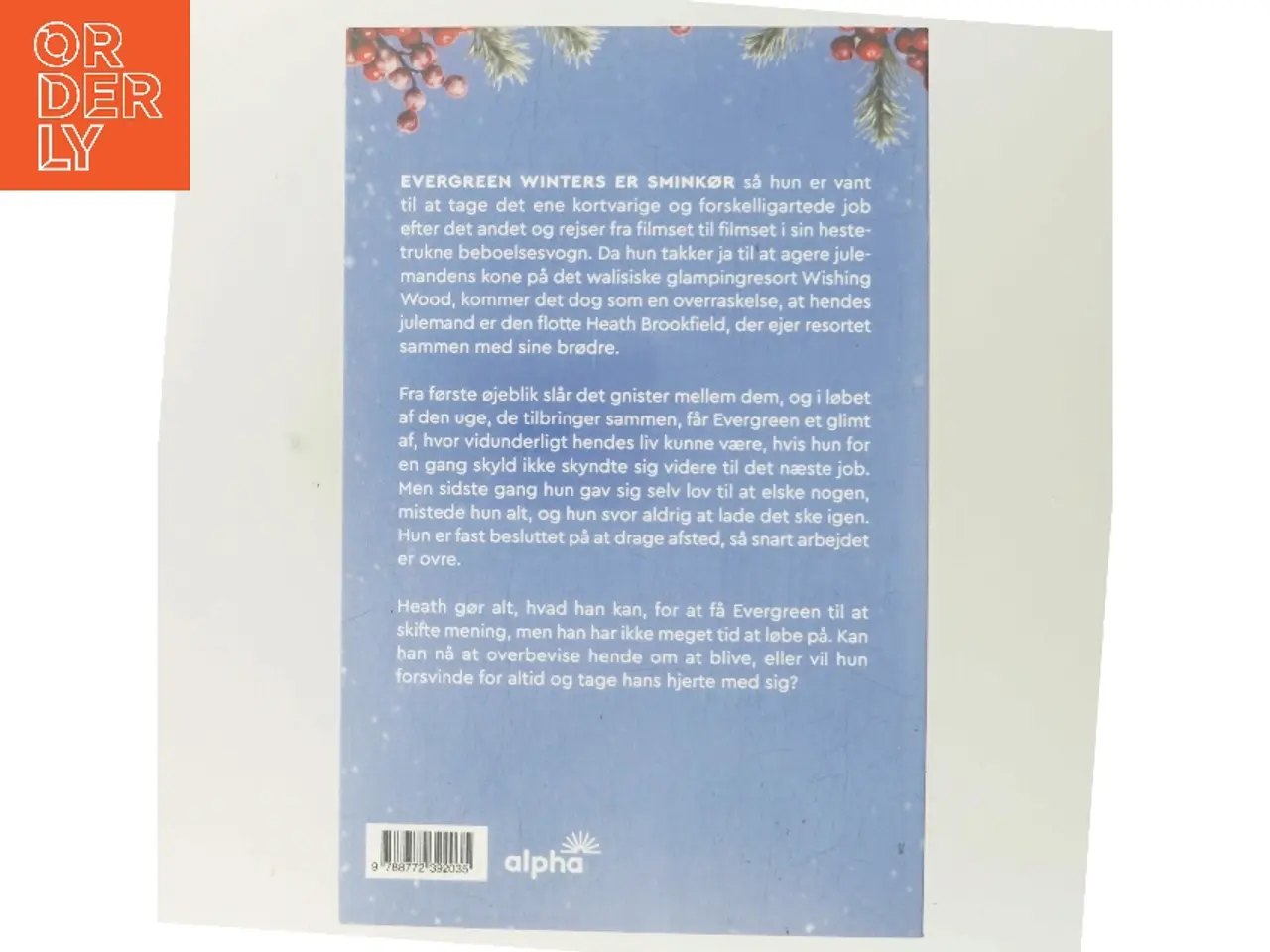 Billede 3 - Vinter i Wishing Wood af Holly Martin (Bog)