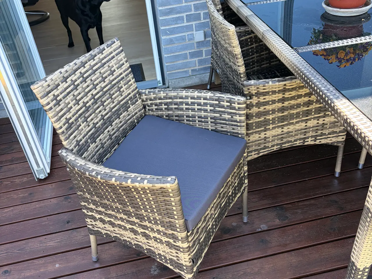 Billede 3 - Havebord & 6 stole m/hynder