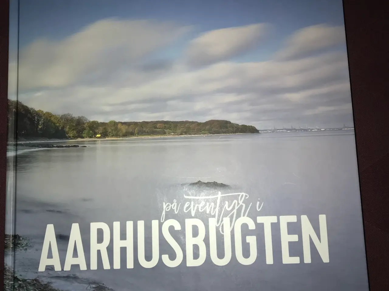 Billede 1 - Århus Bugten i tekst og billeder.