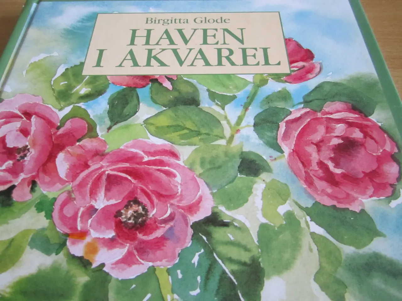 Billede 1 - Birgitta Glode. HAVEN I AKVAREL.