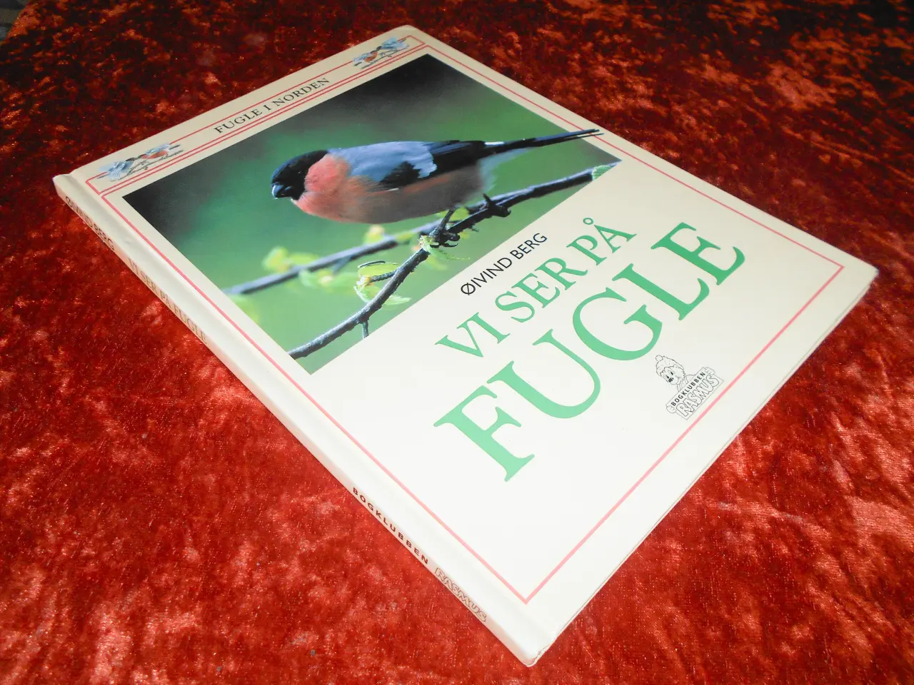 Billede 1 - Vi ser på fugle, Øivind Berg,