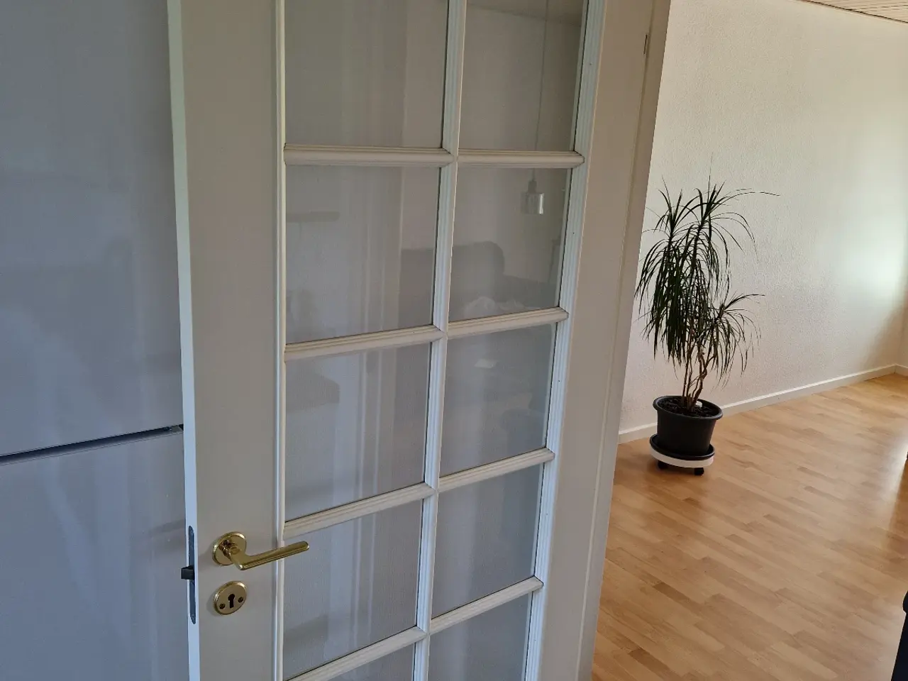 Billede 2 - Dør med 12 glasfelter 