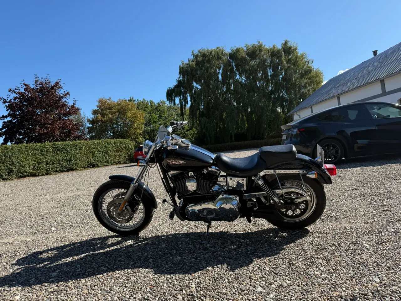 Billede 2 - Flot dyna low raider