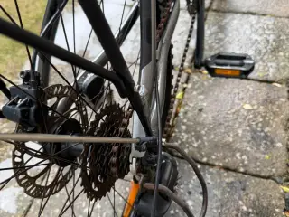 Scott Roxter 26 drenge cykel