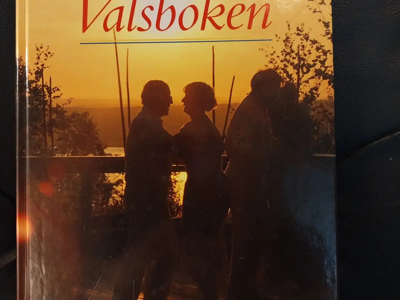 Billede 1 - Den store svenske valsebog
