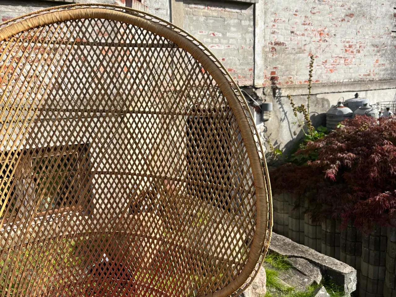 Billede 5 - Ikonisk påfuglestol i naturrattan