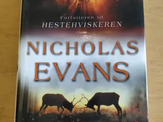 Ildsjæl