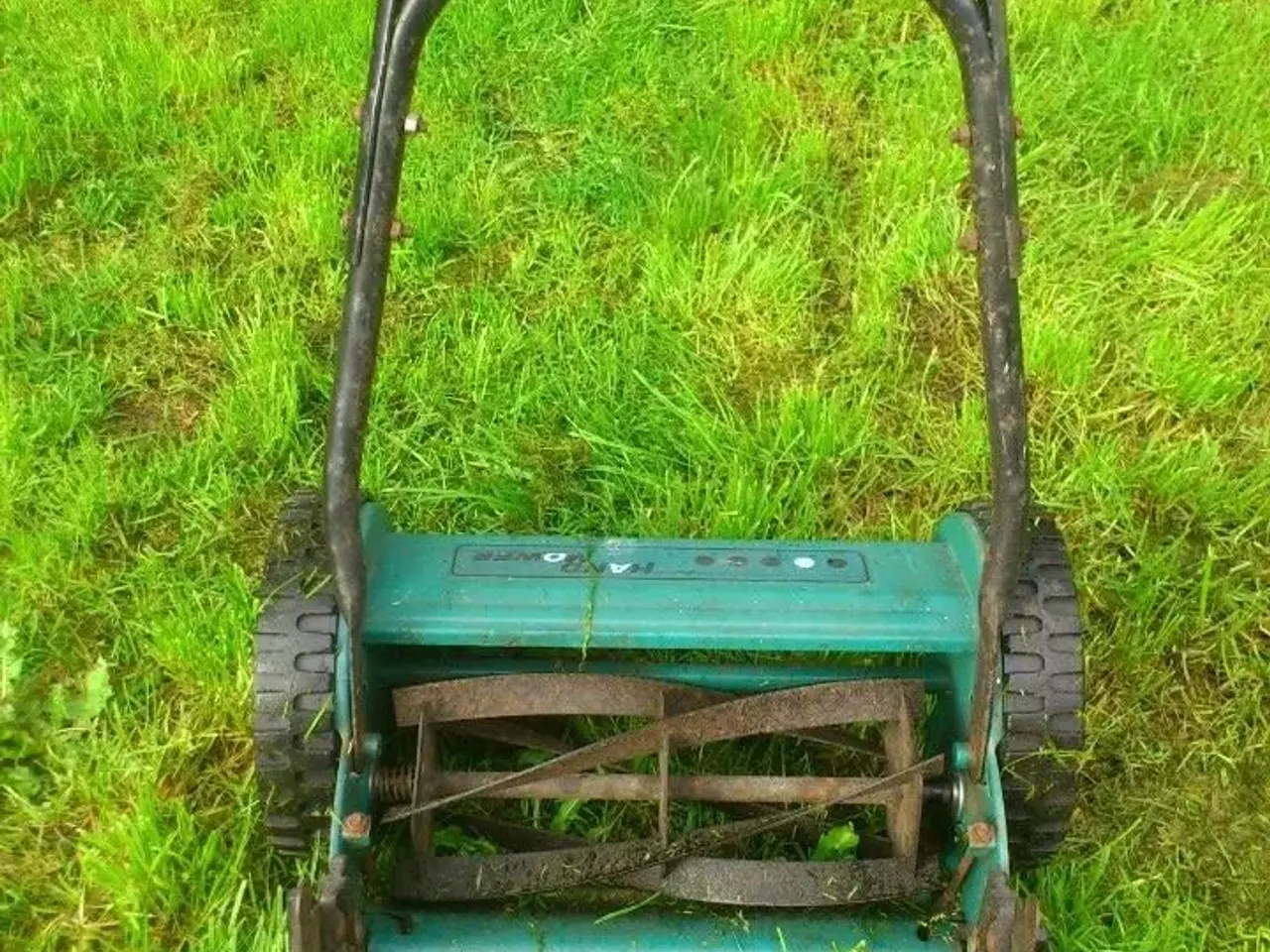 Billede 2 - L) Miljøvenlig plæneklipper