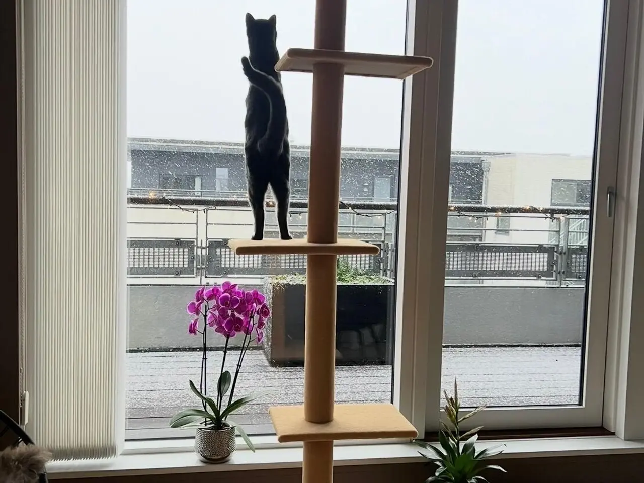 Billede 2 - Gulv-til-loft katteklatretræ / kattetårn