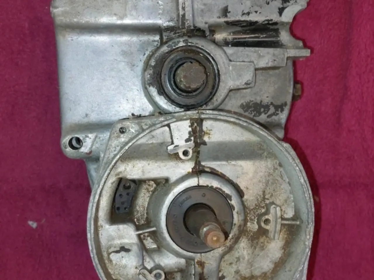 Billede 4 - Puch Maxi motor