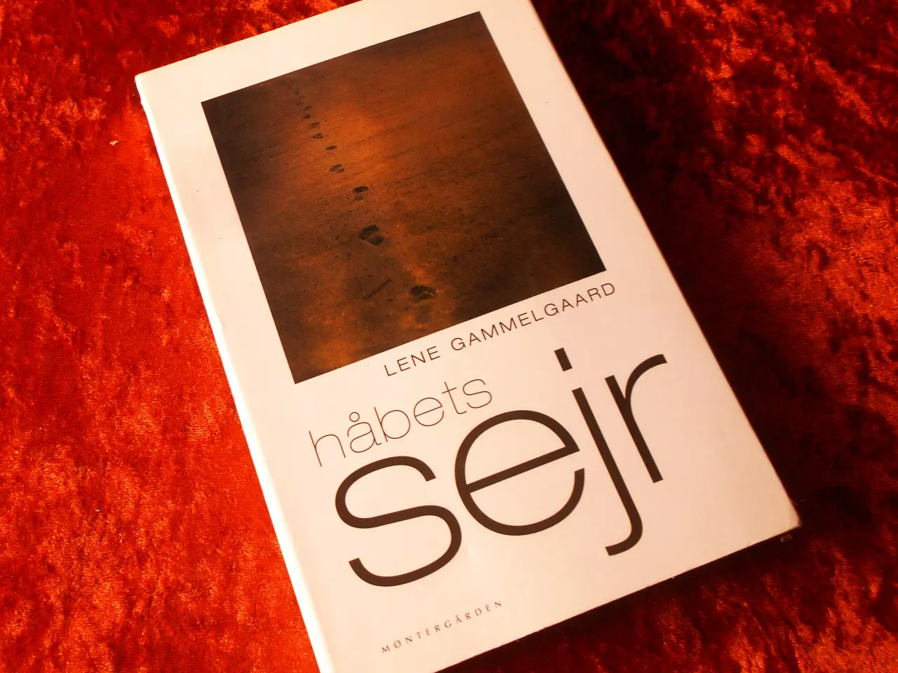 Billede 1 - Håbets sejr,  Lene Gammelgaard, 