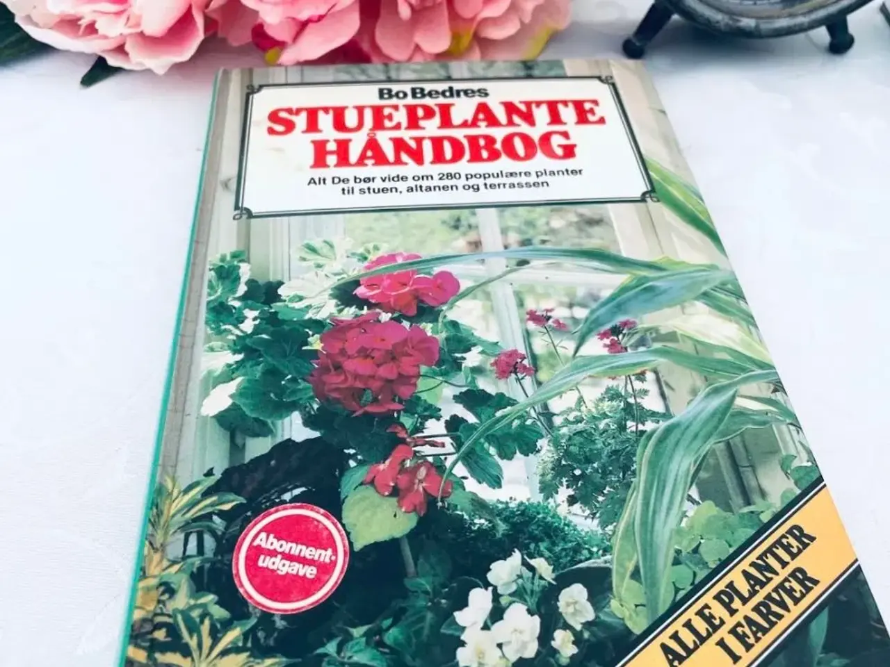 Billede 1 - Stueplanter bo bedre 