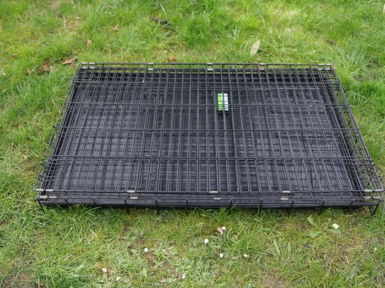 Billede 1 - 🐶 Stort og solidt hundebur – Pluto Premium (X-Lar