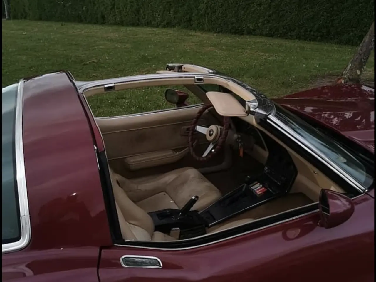 Billede 9 -  Chervolet Corvette C3 Stingray 1979 5,7 V8