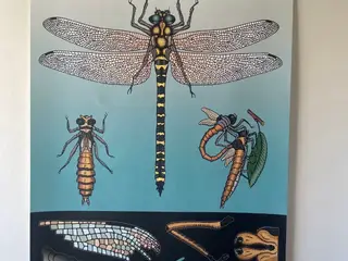 Flot skoleplakat med guldsmed