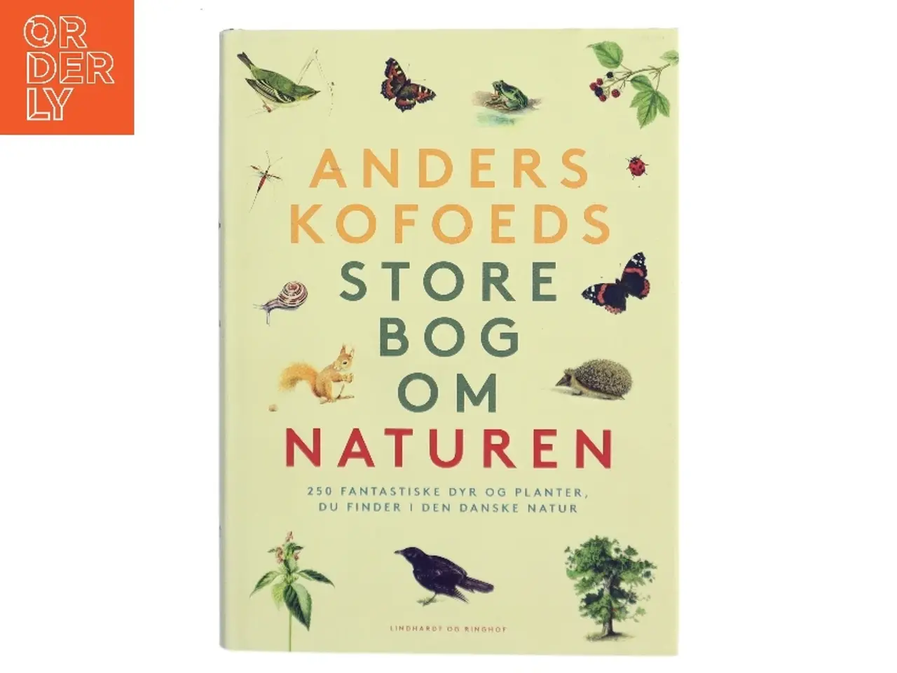 Billede 1 - Anders Kofoeds store bog om naturen : 250 fantastiske dyr og planter, du finder i den danske natur af Anders Kofoed (Bog)