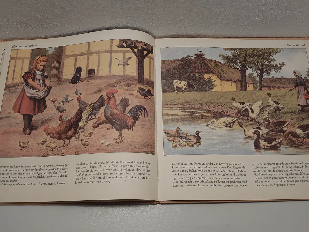 Billede 3 - Inge Aagaard Fauertoft: Oldemors dyrebog. 1982.
