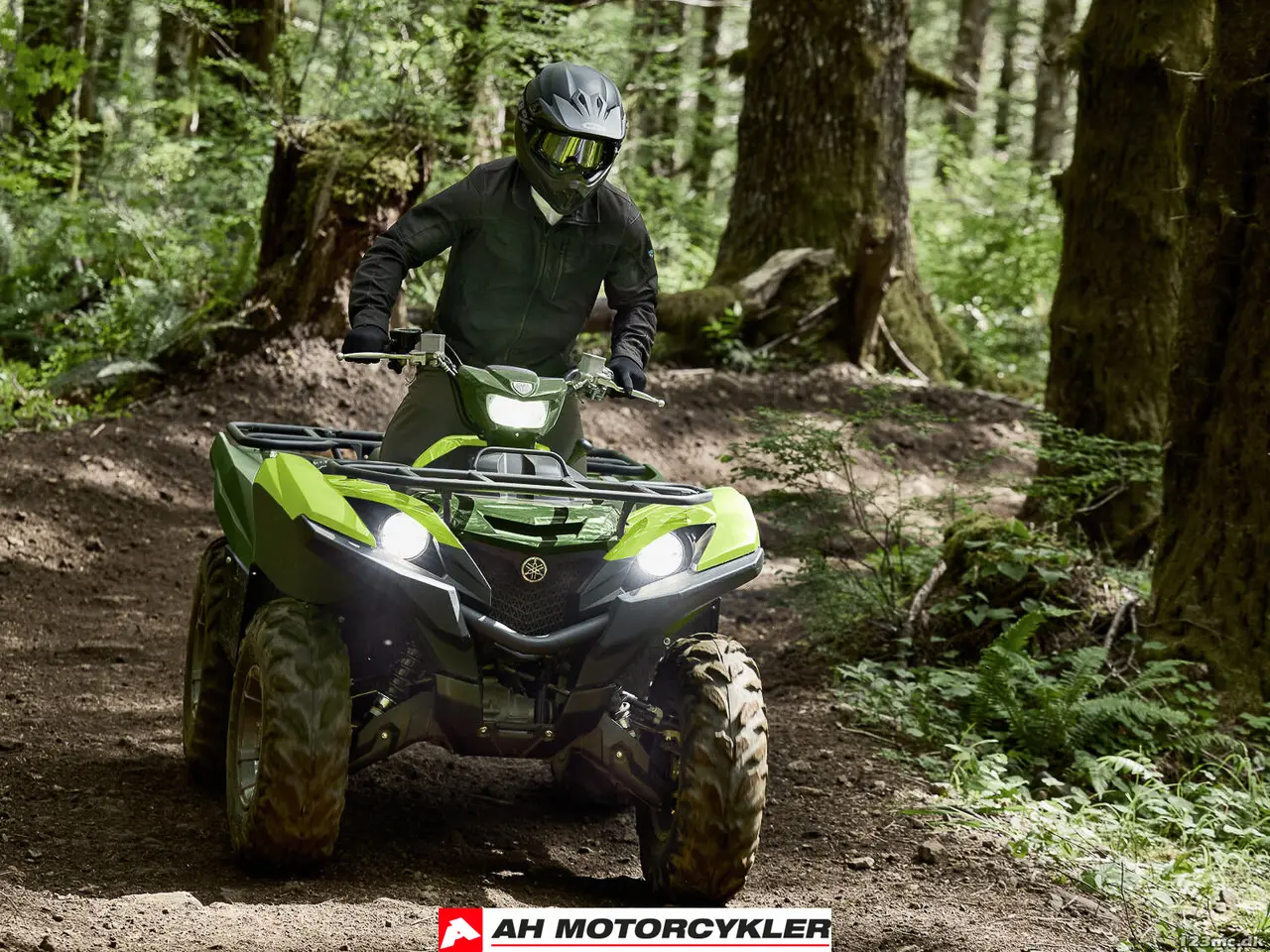 Billede 9 - Yamaha Grizzly 700 EPS Traktor