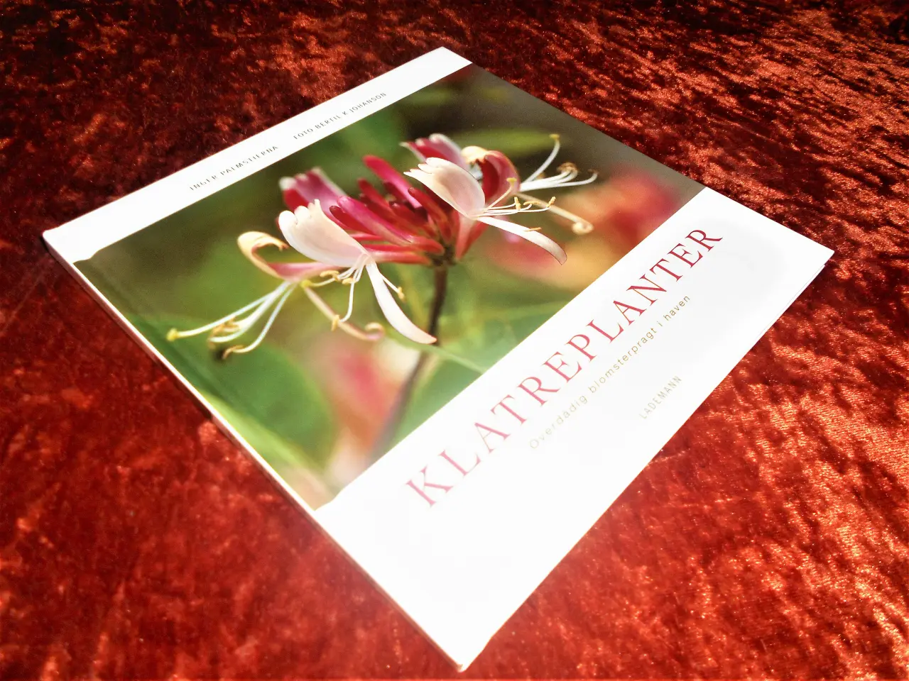 Billede 1 - Klatreplanter,  Inger Palmstierna, 