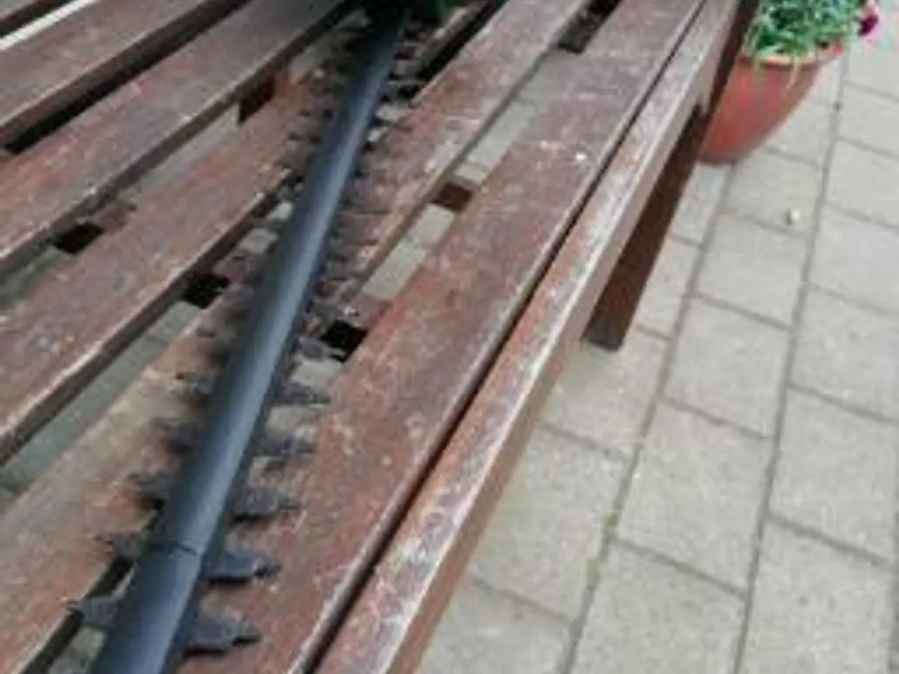 Billede 2 - bosch Easy Hedgecut 45