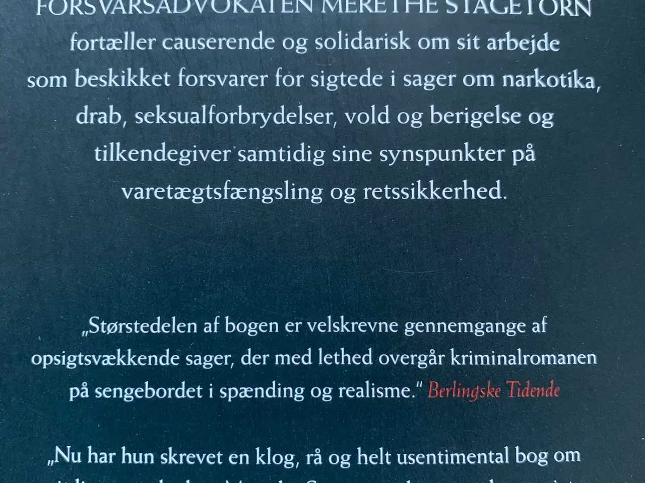 Billede 3 - Merethe Stagetorn - Forsvarsadvokaten