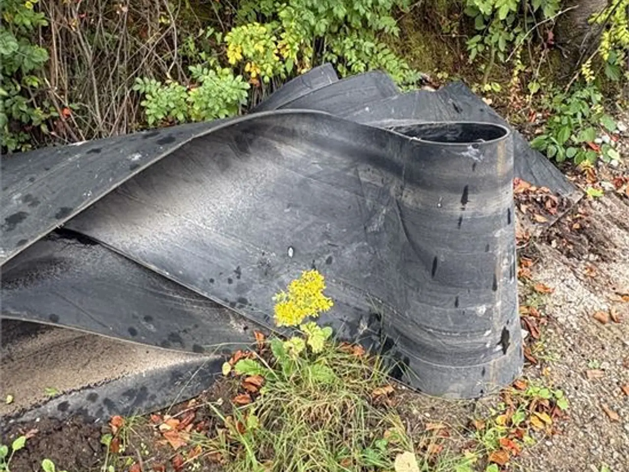 Billede 56 - Pegson Premiertrack 1100 x 800 - Plant no AX 677 - Caterpillar 3306 engine