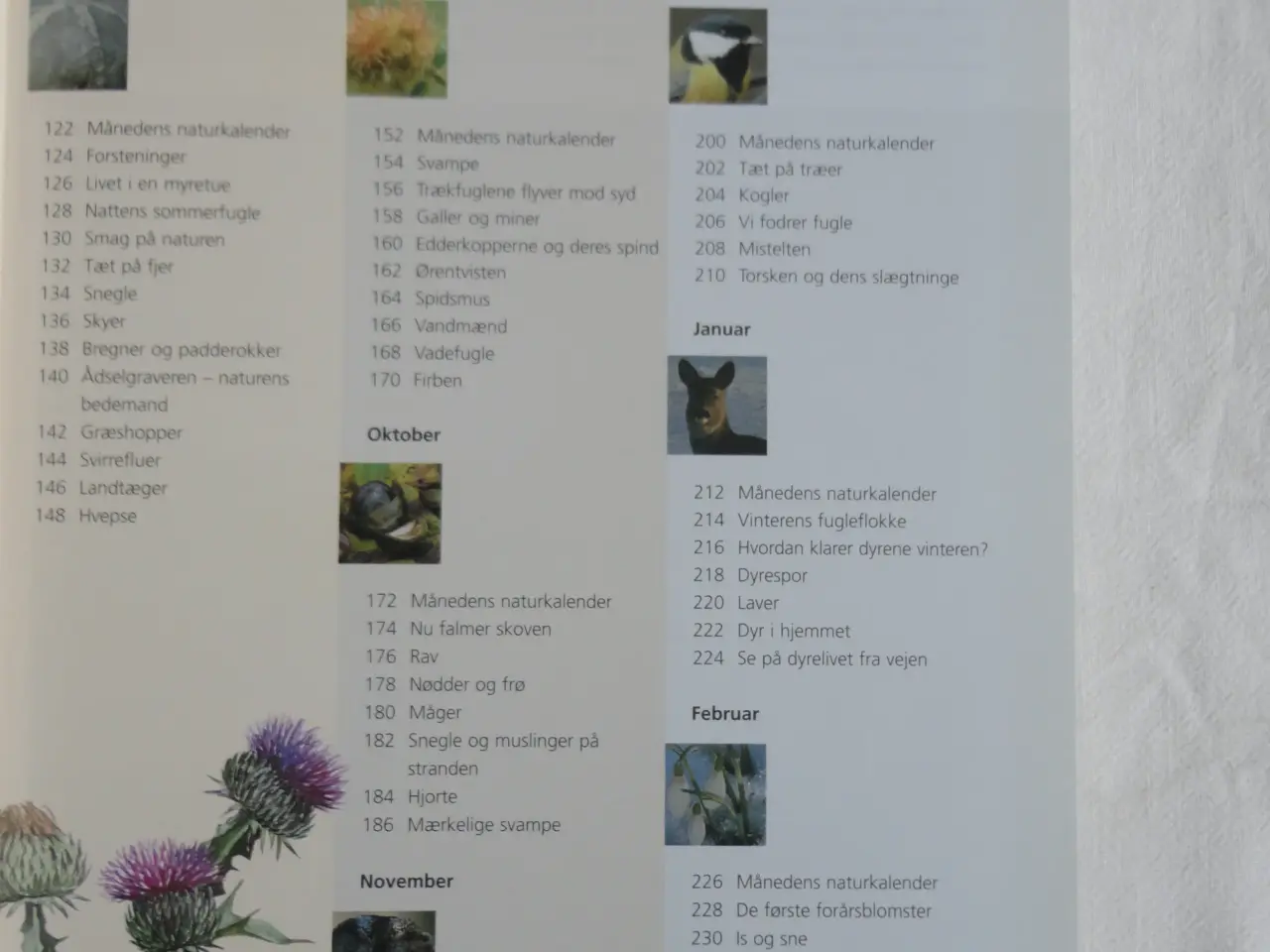 Billede 3 - Familiens Naturbog :
