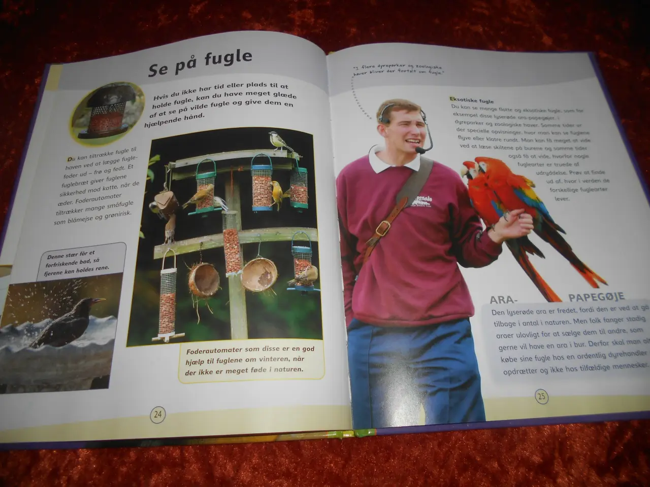 Billede 4 - Sådan holder jeg fugl, David Glover, Penny Glover,