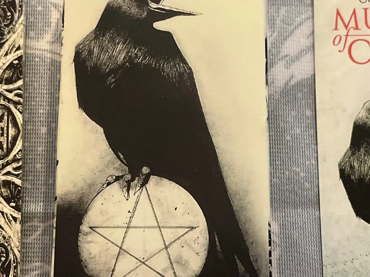 Billede 2 - Murder of Crows tarotkort af Corrado Roi