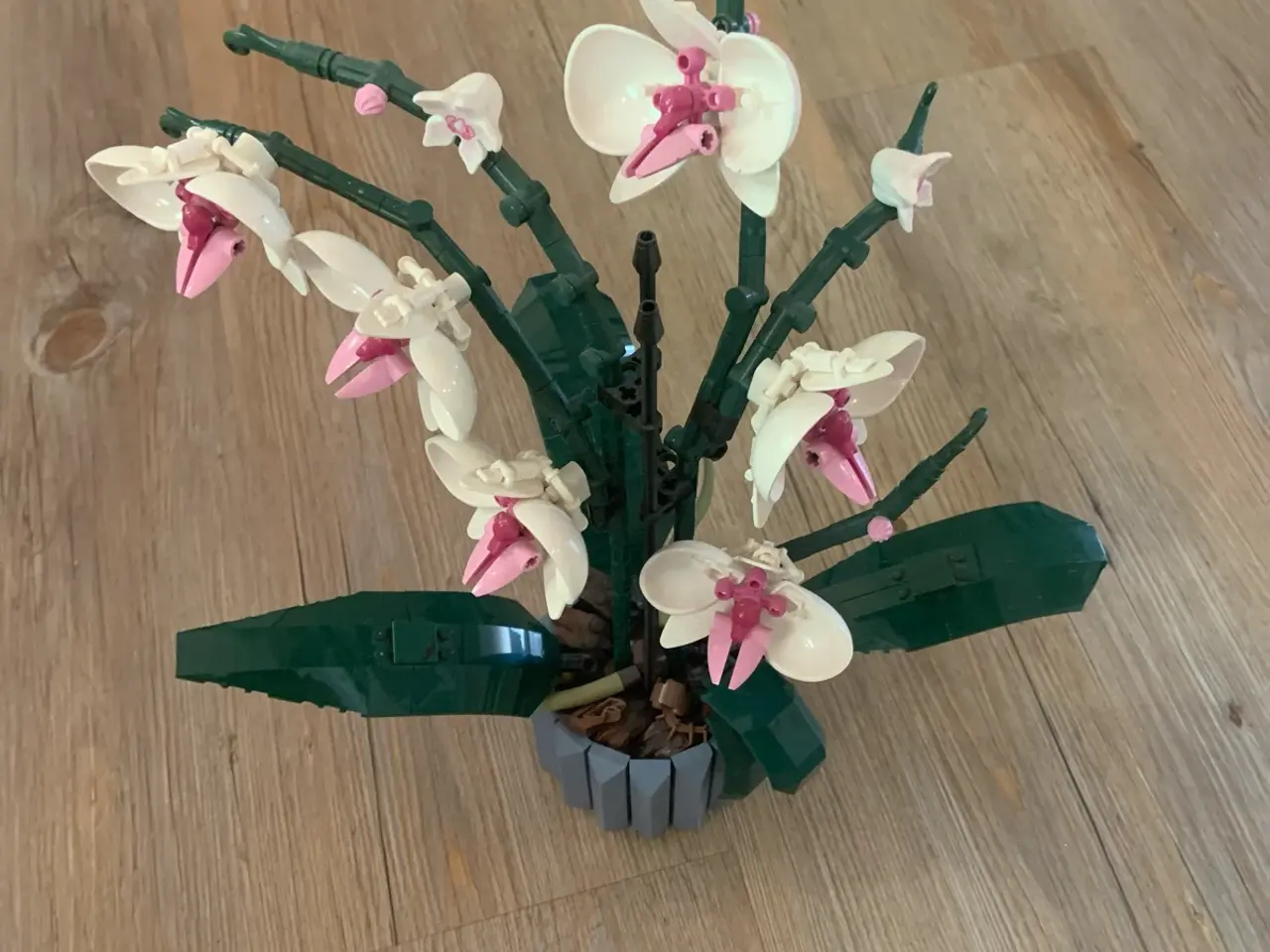 Billede 1 - Lego 10311 orkide