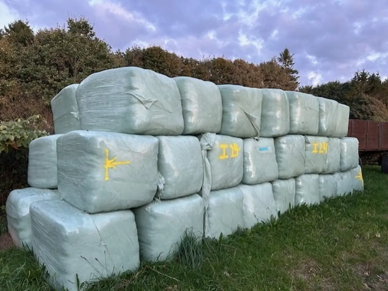 Billede 1 - Wrap hø. DLF Horsemax med fiber