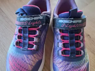 S-Lights: Rainbow Cruisers - Rainbow Reflectin - N