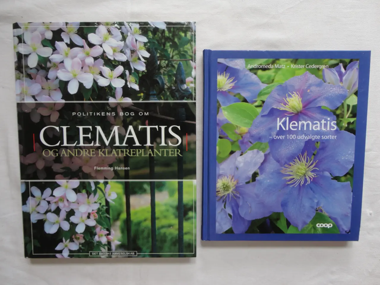 Billede 1 - Clematis - Klematis :