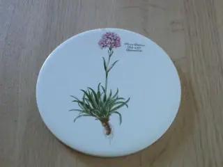 Flora Danica Platte