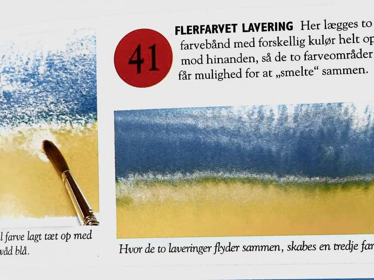 Billede 5 - Akvarelmalerens 100 bedste fif 