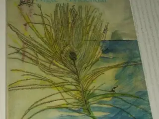 Bog, Imellem os