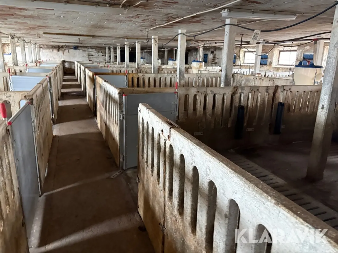 Billede 3 - Komplet grisestald
