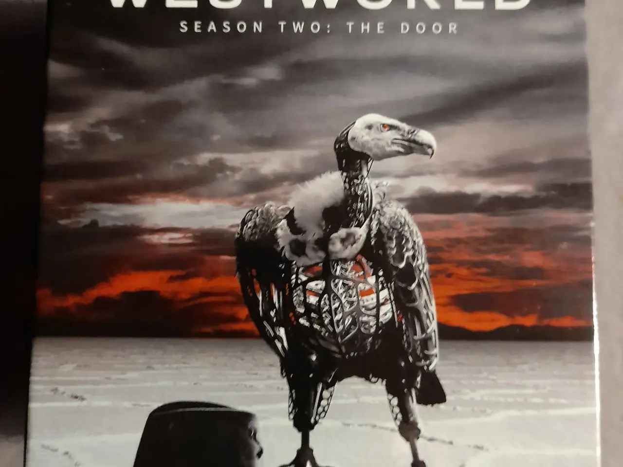 Billede 1 - Westworld s.2