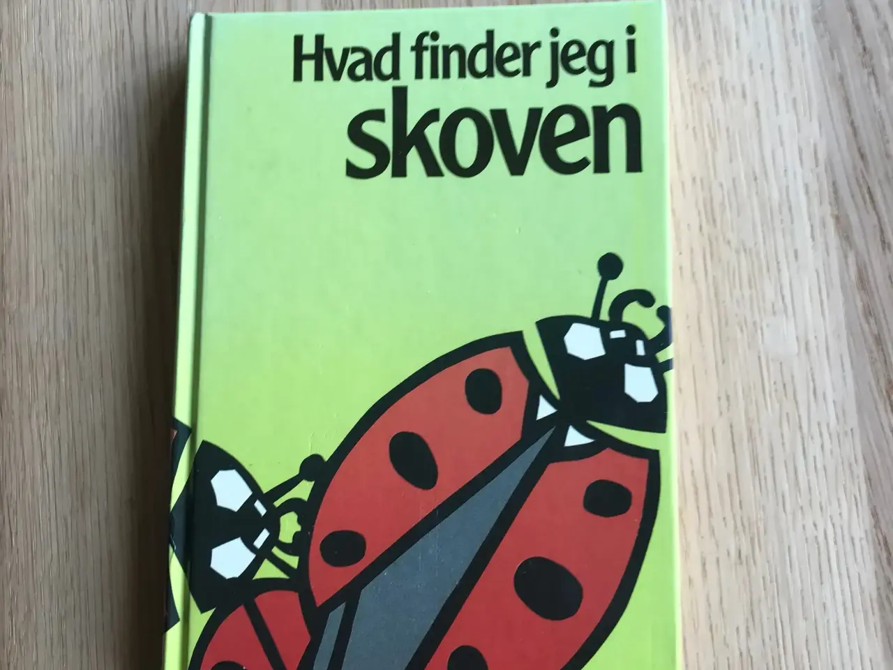 Billede 1 - Hvad finder jeg i skoven