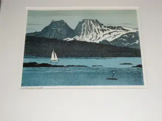 Lars Christian Istad. TRÆSNIT. Kystmotiv fra Norge