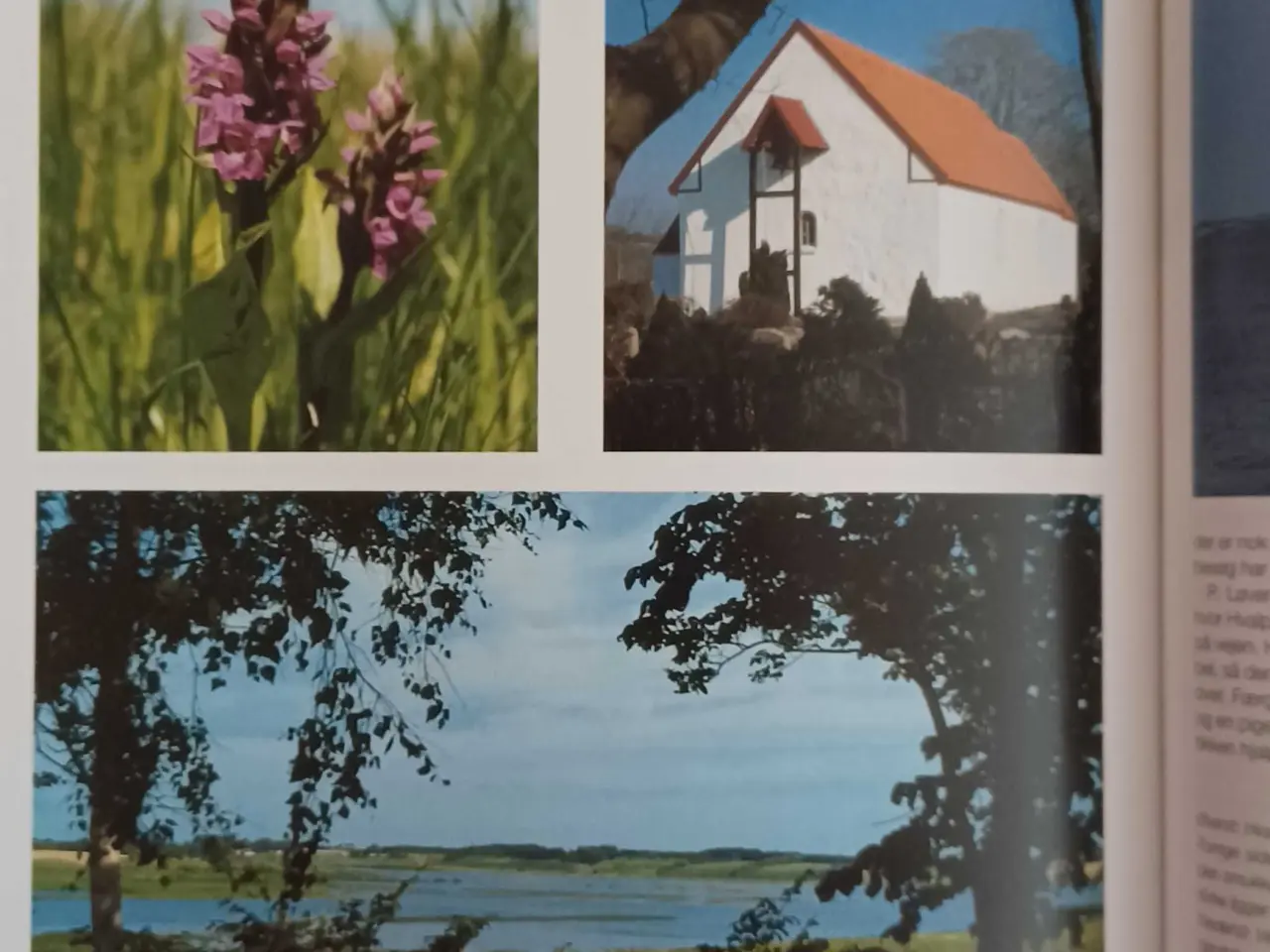 Billede 3 - På streiftog i Himmerland 