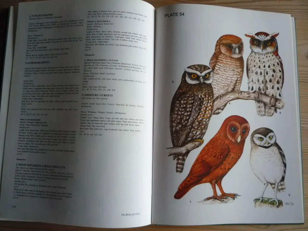 Billede 2 - The Birds of Cites