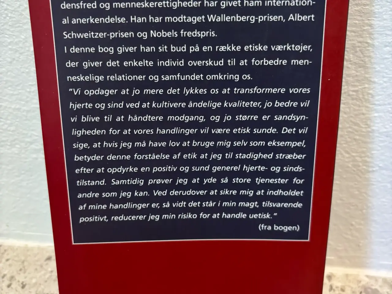 Billede 2 - Tanker for det nye årtusinde Dalai Lama