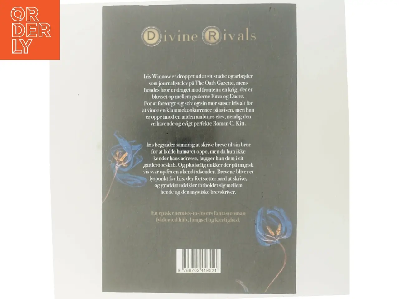 Billede 3 - Divine rivals af Rebecca Ross (Bog)