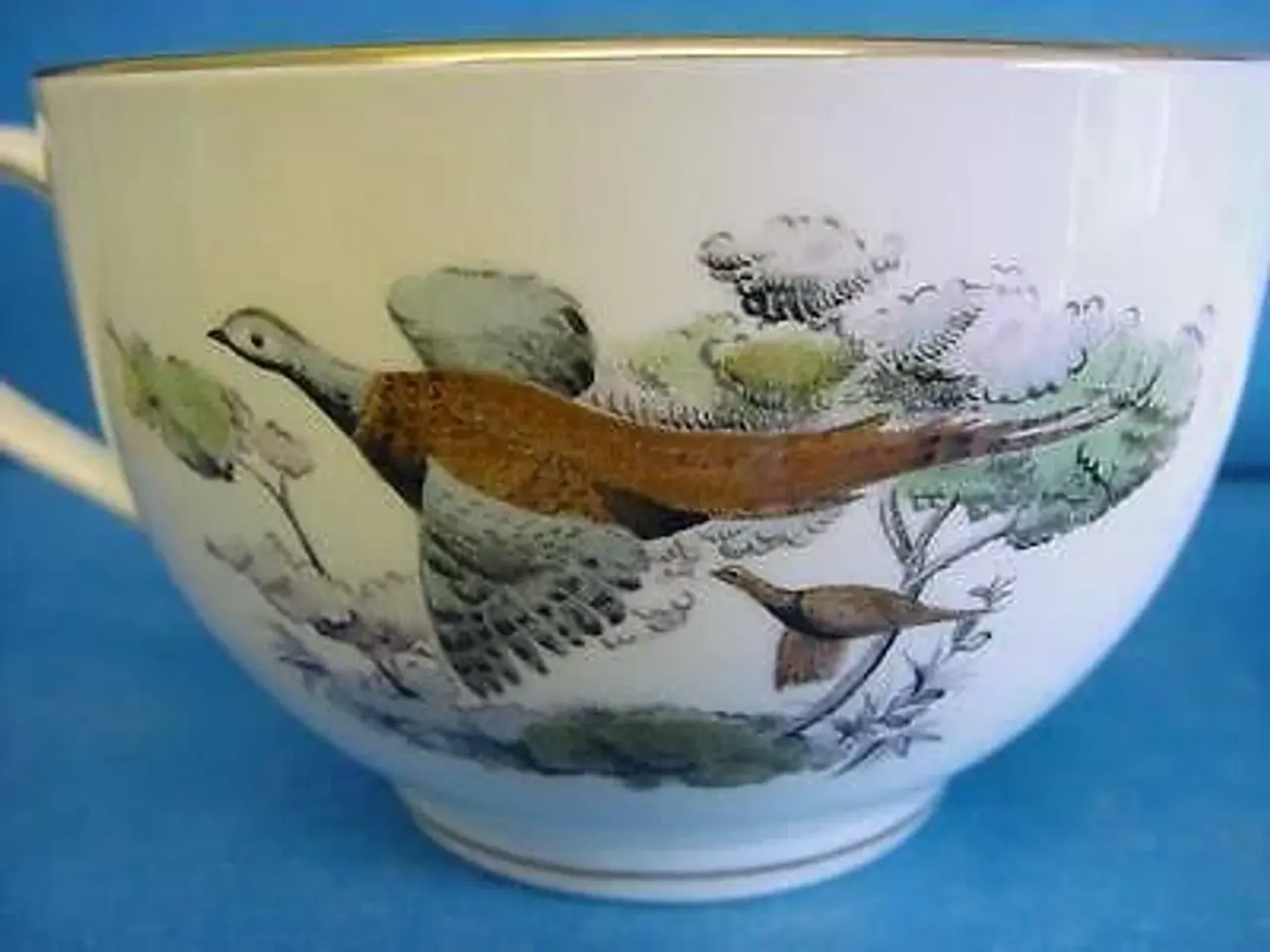 Billede 6 - Royal Worcester - te kop med underkop