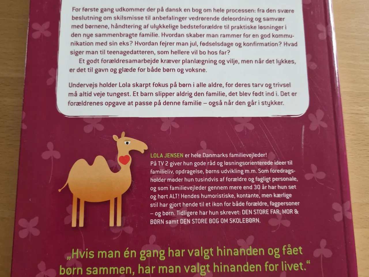 Billede 2 - Pas på familien